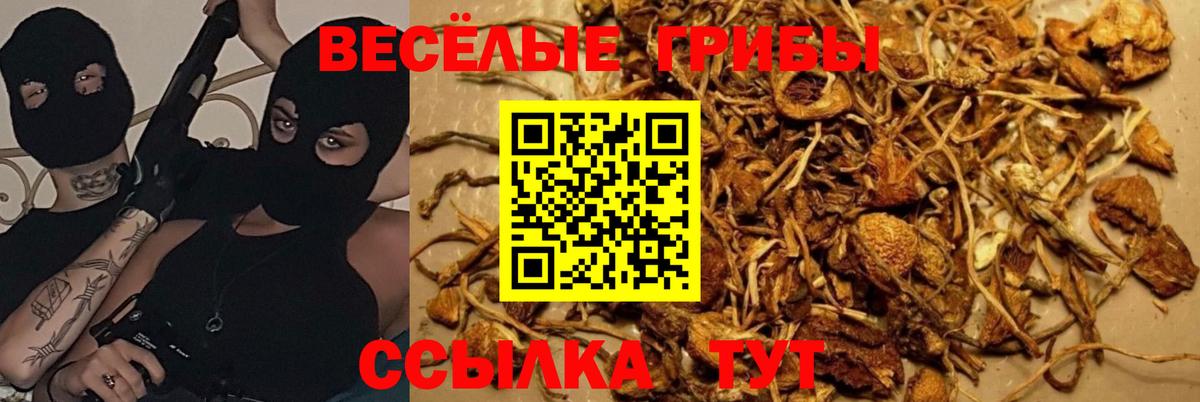 Азов  Галлюциногенные грибы мухоморы  Вход с VPN 